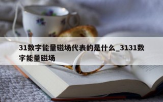 31 数字能量磁场代表的是什么_3131 数字能量磁场