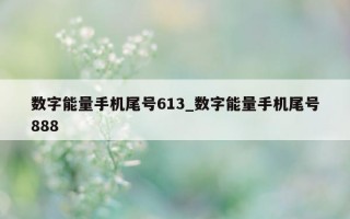 数字能量手机尾号 613_数字能量手机尾号 888