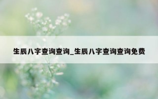 生辰八字查询查询_生辰八字查询查询免费