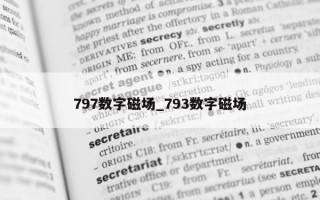 797 数字磁场_793 数字磁场