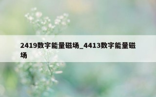 2419 数字能量磁场_4413 数字能量磁场