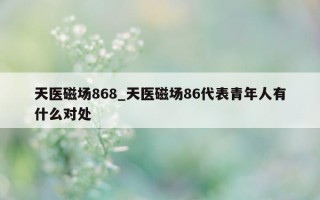 天医磁场 868_天医磁场 86 代表青年人有什么对处