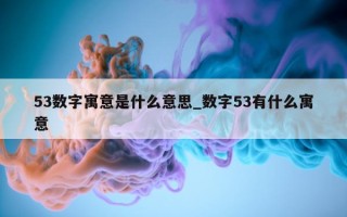 53 数字寓意是什么意思_数字 53 有什么寓意