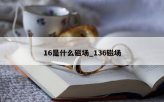 16 是什么磁场_136 磁场