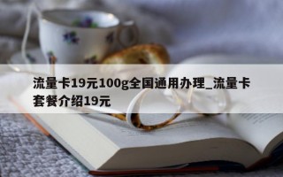 流量卡 19 元 100g 全国通用办理_流量卡套餐介绍 19 元