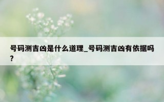 号码测吉凶是什么道理_号码测吉凶有依据吗?