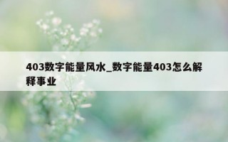 403 数字能量风水_数字能量 403 怎么解释事业