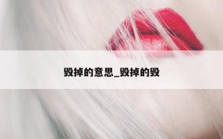 毁掉的意思_毁掉的毁