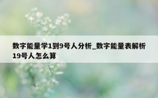 数字能量学 1 到 9 号人分析_数字能量表解析 19 号人怎么算