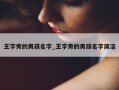 王字旁的男孩名字_王字旁的男孩名字简洁