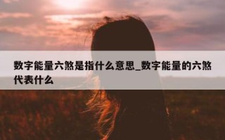 数字能量六煞是指什么意思_数字能量的六煞代表什么