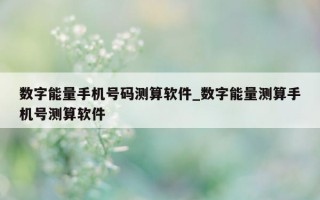 数字能量手机号码测算软件_数字能量测算手机号测算软件