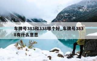 车牌号 383 和 338 哪个好_车牌号 3838 有什么意思