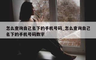 怎么查询自己名下的手机号码_怎么查询自己名下的手机号码数字