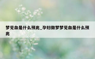 梦见血是什么预兆_孕妇做梦梦见血是什么预兆