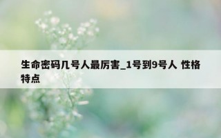 生命密码几号人最厉害_1 号到 9 号人 性格特点