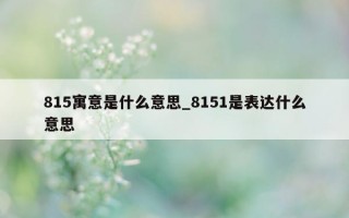 815 寓意是什么意思_8151 是表达什么意思