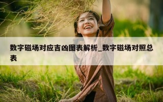 数字磁场对应吉凶图表解析_数字磁场对照总表