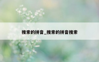 搜索的拼音_搜索的拼音搜索