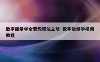 数字能量学全套教程沈立明_数字能量学视频教程