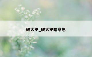 破太岁_破太岁啥意思