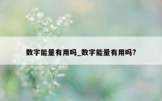 数字能量有用吗_数字能量有用吗?