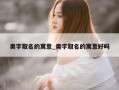 奥字取名的寓意_奥字取名的寓意好吗