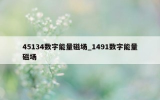 45134 数字能量磁场_1491 数字能量磁场