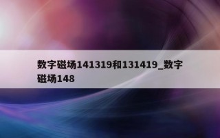 数字磁场 141319 和 131419_数字磁场 148