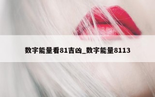 数字能量看 81 吉凶_数字能量 8113