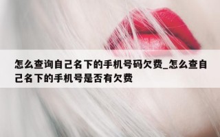 怎么查询自己名下的手机号码欠费_怎么查自己名下的手机号是否有欠费