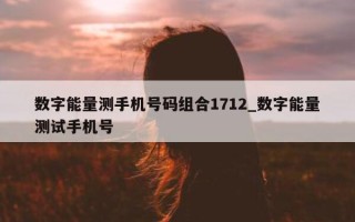 数字能量测手机号码组合 1712_数字能量测试手机号