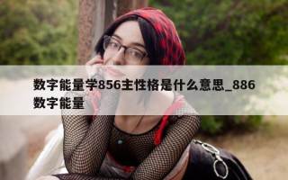 数字能量学 856 主性格是什么意思_886 数字能量