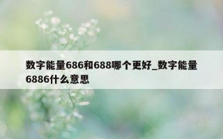 数字能量 686 和 688 哪个更好_数字能量 6886 什么意思