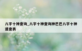 八字十神查询_八字十神查询神巴巴八字十神速查表