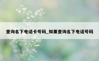 查询名下电话卡号码_如果查询名下电话号码