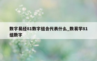 数字易经 81 数字组合代表什么_数易学 81 组数字