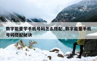 数字能量学手机号码怎么搭配_数字能量手机号码搭配秘诀