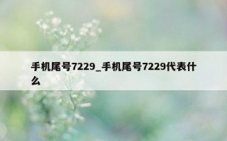 手机尾号 7229_手机尾号 7229 代表什么