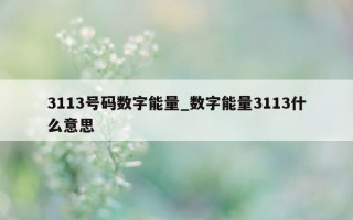 3113 号码数字能量_数字能量 3113 什么意思