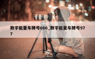 数字能量车牌号 666_数字能量车牌号 977