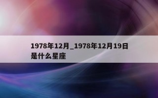 1978 年 12 月_1978 年 12 月 19 日是什么星座