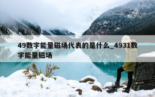 49 数字能量磁场代表的是什么_4931 数字能量磁场