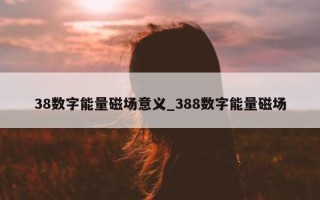 38 数字能量磁场意义_388 数字能量磁场