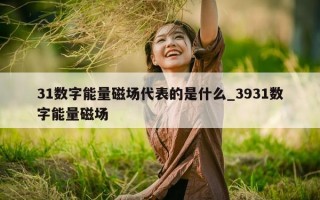 31 数字能量磁场代表的是什么_3931 数字能量磁场