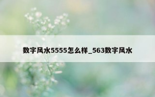 数字风水 5555 怎么样_563 数字风水