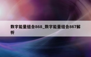 数字能量组合 868_数字能量组合 867 解析