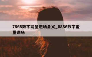 7868 数字能量磁场含义_6886 数字能量磁场