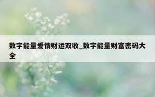 数字能量爱情财运双收_数字能量财富密码大全