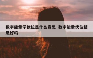 数字能量学伏位是什么意思_数字能量伏位结尾好吗